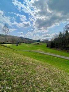 16 Silver Oak Pvt Trl, Butler, TN, 37640