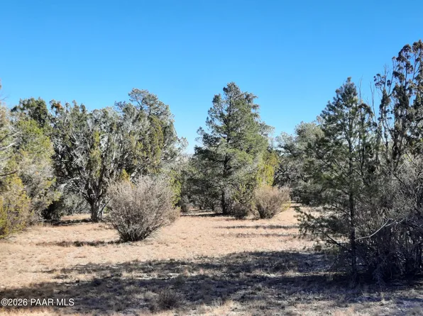 74 Off Denny 5 Rd, Seligman, AZ 86337