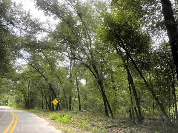 497 McPhaul Rd, Chattahoochee, FL 32324