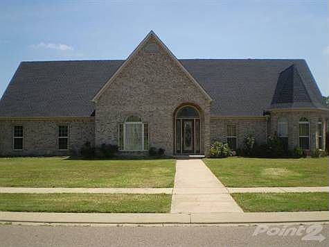 610 River Birch007