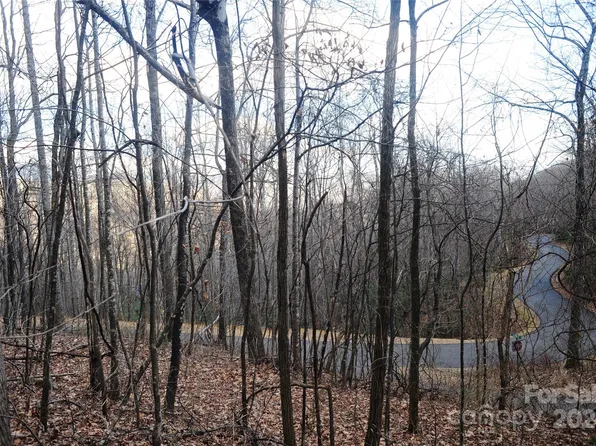 54 Great Aspen Way #701, Black Mountain, NC 28711