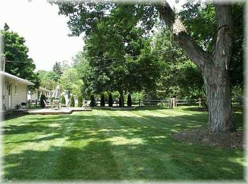 Yard View
