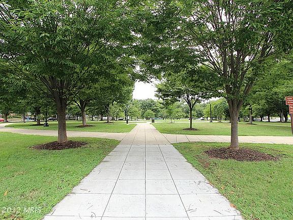 Park view