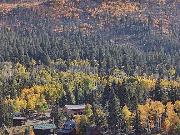 5th image of 1210-1220 W Spruce Rd