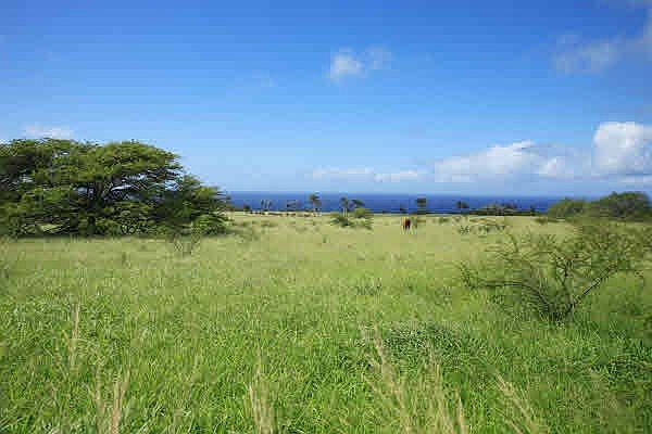 1st image of Puakea Dr Lot 21