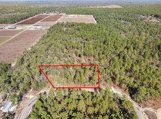 8949 N Farrington Dr, Citrus Springs, FL 34433