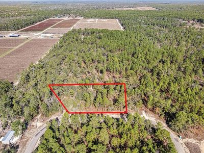 8949 N Farrington Dr, Citrus Springs, FL, 34433