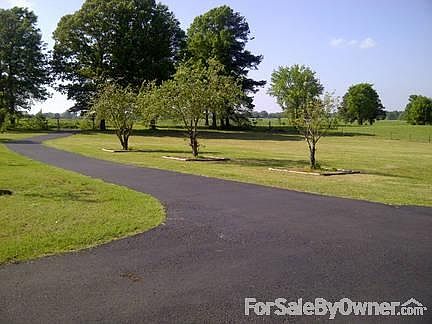 Driveway 1 : These are producing apple trees!!