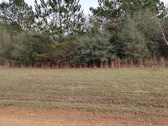 2nd image of N Resort Dr Lot 285