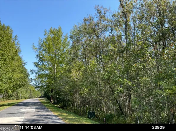 LOT 163 La Terra Ln, Waverly, GA 31565