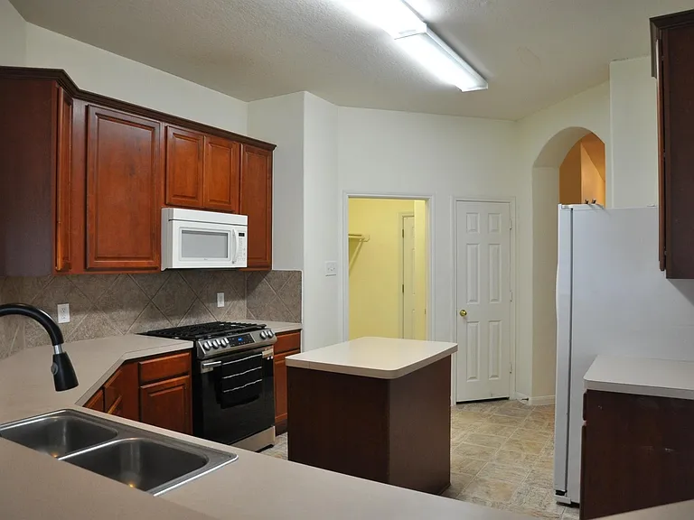 19118 Mossy Hedge Ln — Photo 14