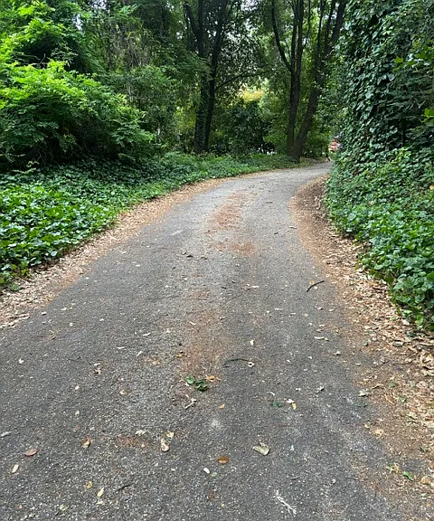 14251 Big Basin Way #4 — Photo 1