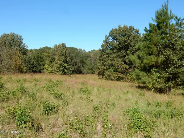 7 N Crockett Rd Lot 7, Senatobia, MS 38668