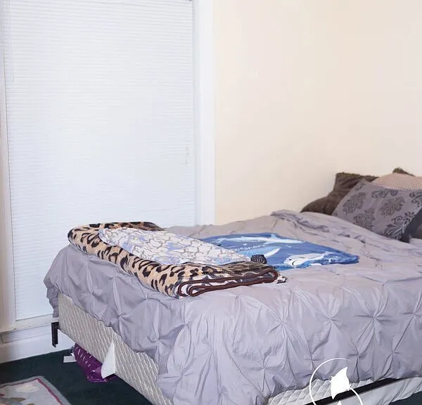 7 Meagan Dr — Photo 14