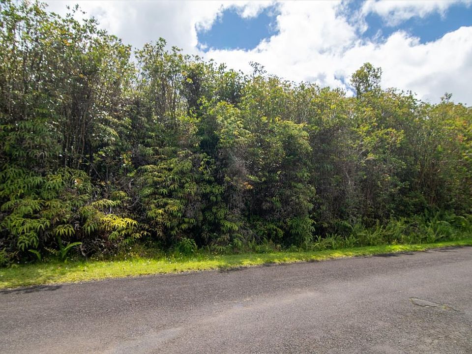 1st image of Hibiscus St