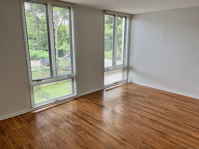285 Greene St #285 — Photo 20