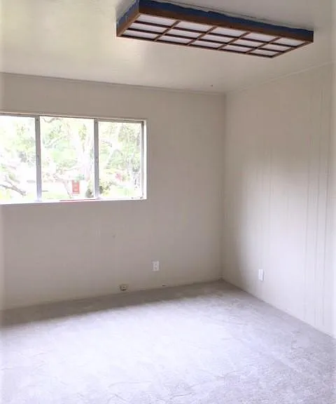 1111 Sawmill Gulch Rd — Photo 19