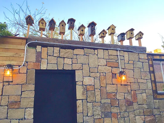 Rented by HCO NY | media 7