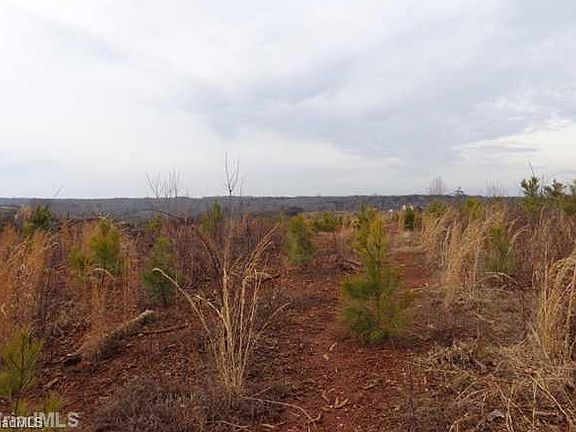 2nd image of Martinsville Loop