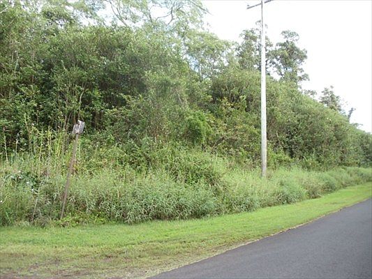3rd image of 40th St Lot 1