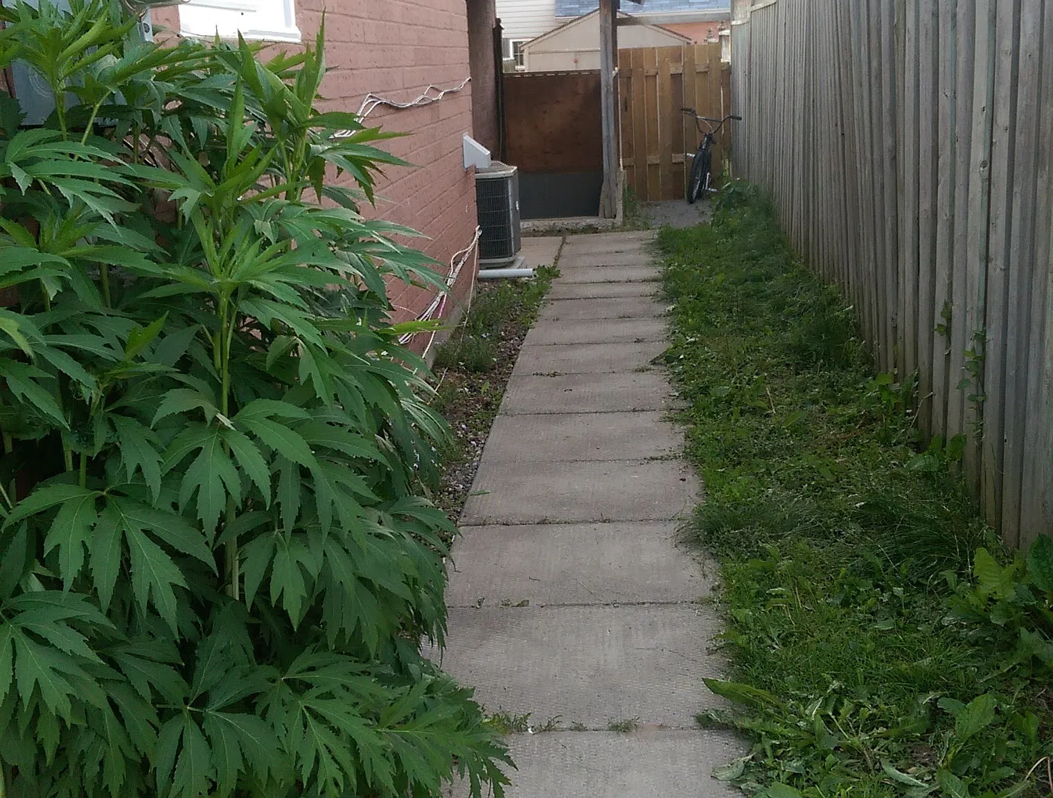 Hadden 55 — Photo 2