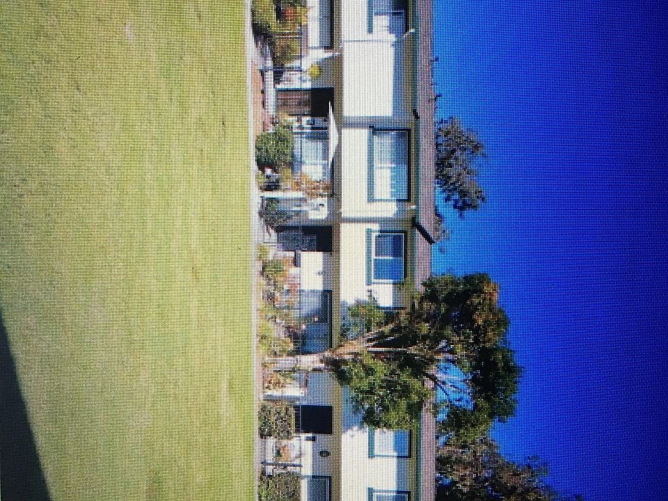 1st image of 4453 Alamo St