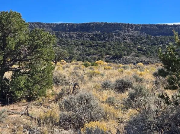 Parcel 10 Cavalry Trail, San Luis, CO 81152