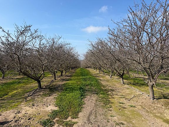 4th image of 16501 28 Mile Rd