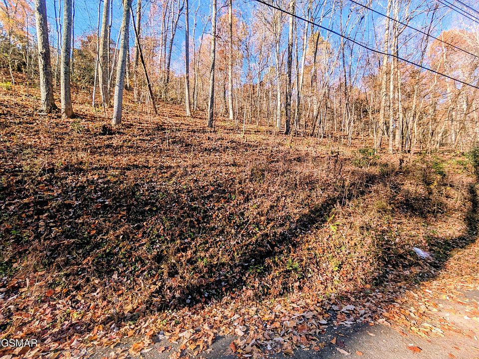 2nd image of 1273 Raymond Hollow Rd Lot 1273