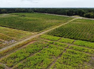 445 Causey Rd, Nichols, SC 29581