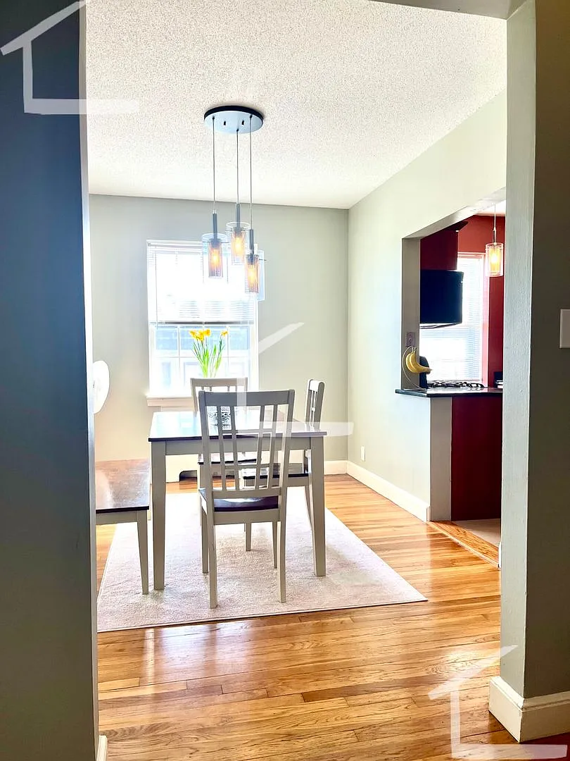 Check out this 2 bed in Coolidge Corner — Photo 3