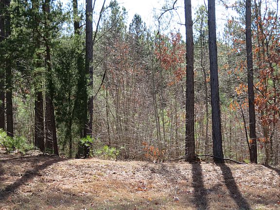 3rd image of 150 Summerwind Dr