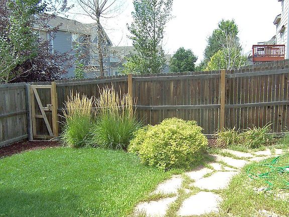 Back yard facing west