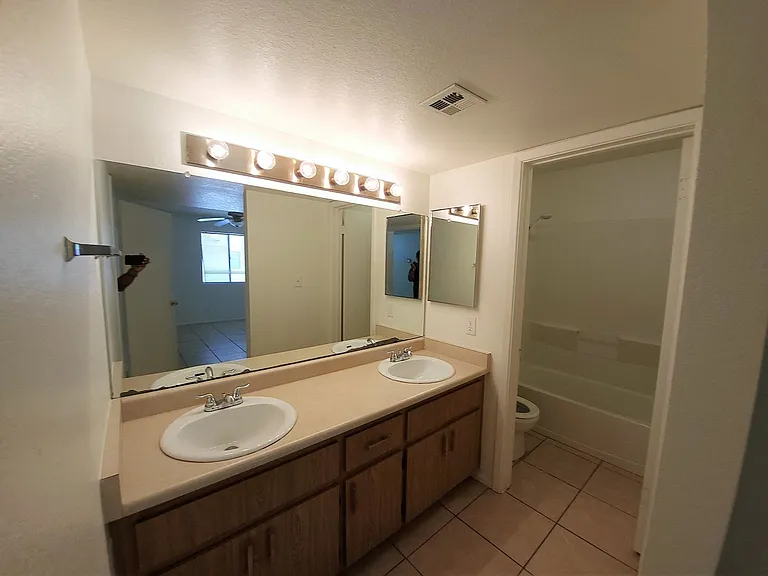 1215 E Lemon St #113 — Photo 13
