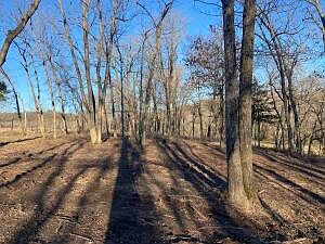 2nd image of Cedar Grove Rd