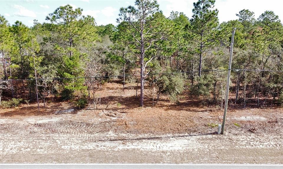 1st image of 8951 N CITRUS SPRINGS BOULEVARD LOT 2