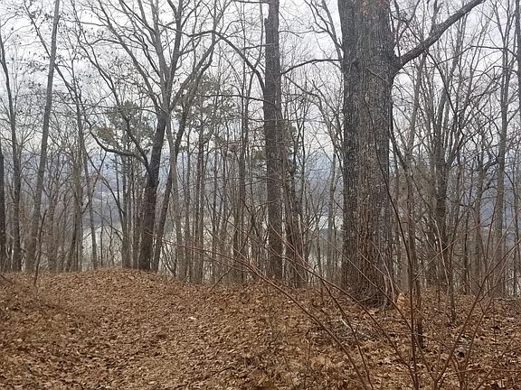 3rd image of 30 Highway 156 #30