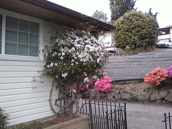 5th image of 4825 S 170th St