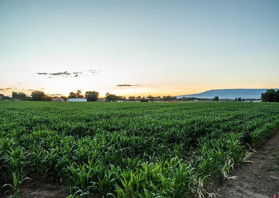 55532 Dalia Rd, Olathe, CO 81425 MLS 796102 Zillow