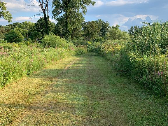 Island walk to the lake