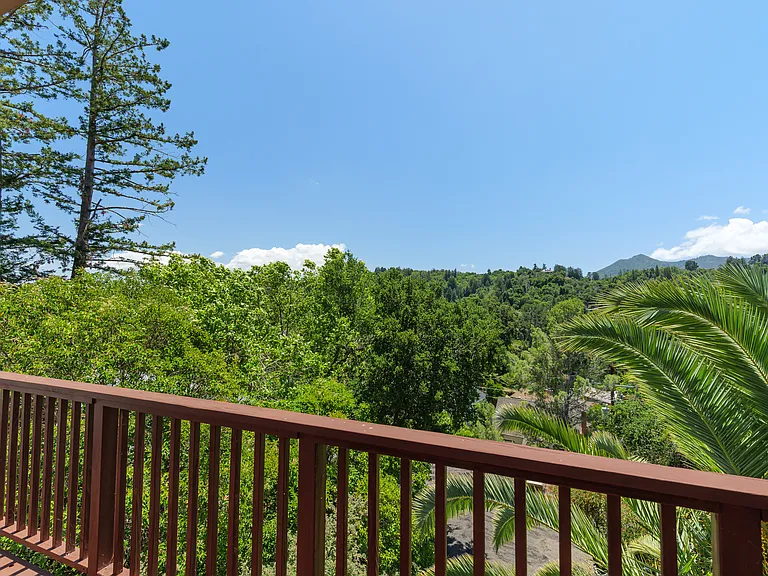334 Santa Margarita Dr — Photo 39