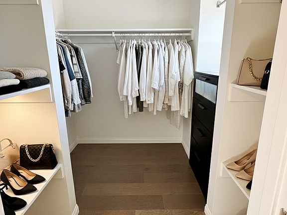 Walk-in closet in master bedroom