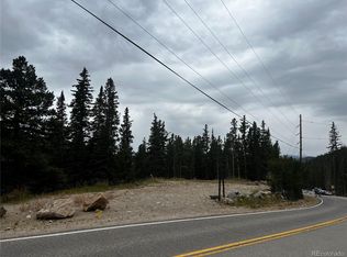 123 Fall River Rd, Idaho Springs, CO 80452