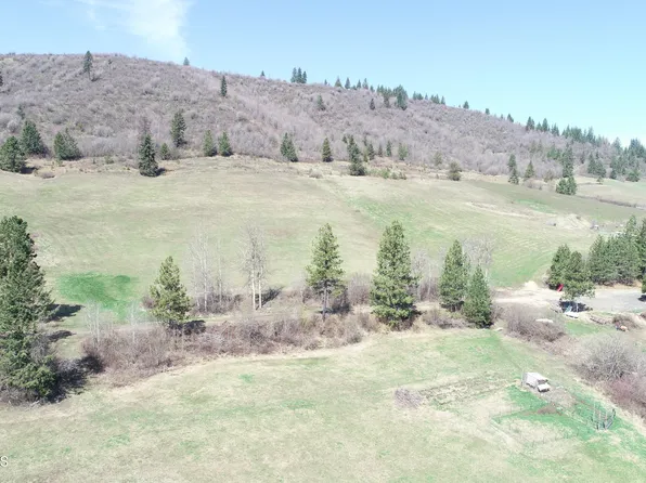 463 Rawhide Dr, Plummer, ID 83851