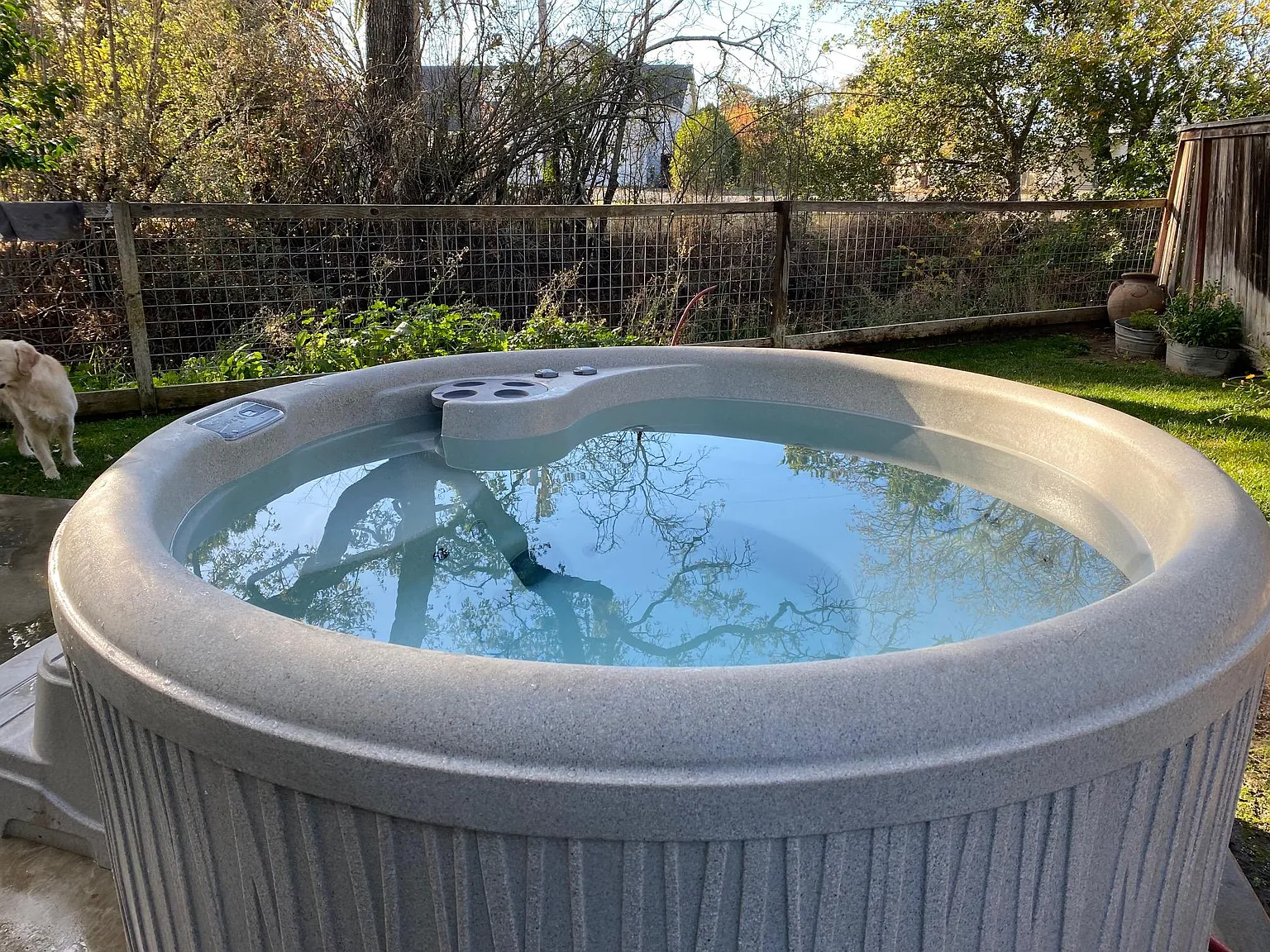 2 bed, 1150 sqft, $4,800 — Photo 3