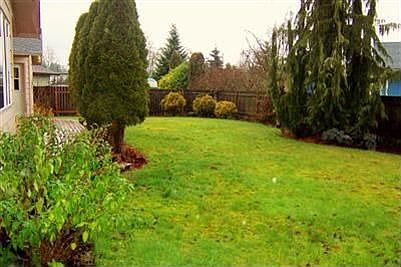 back yard