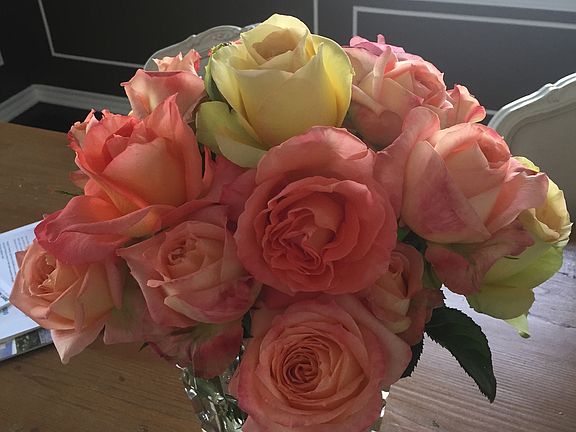 Roses from the garden 