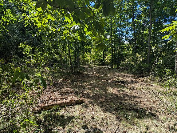 5th image of 2622 4th Concession Rd