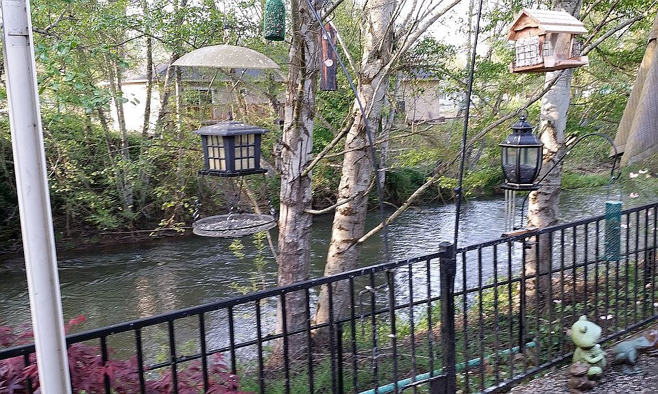 Little Butte Creek view from