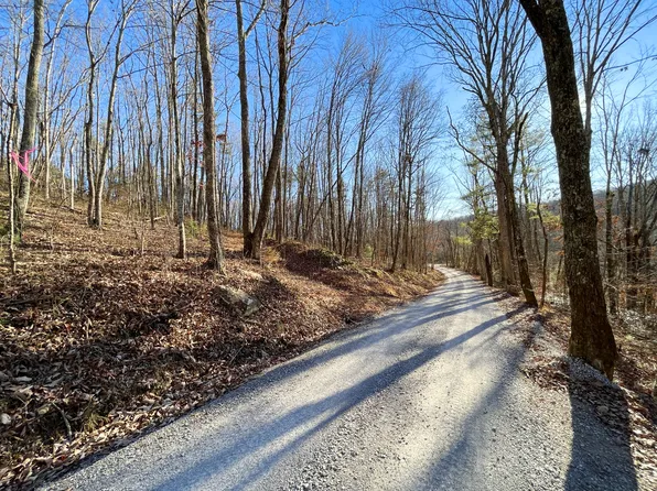 812 Dunn Rd, Spring City, TN 37381